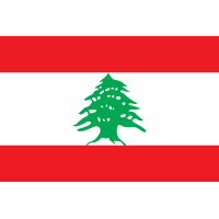 Lebanon International Calling Card $10